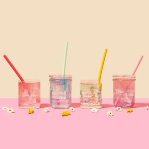 Chic & Tonic Silicone Eco Friendly Reusable Straw Set NIB